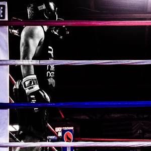 Meet your Posher, Joey